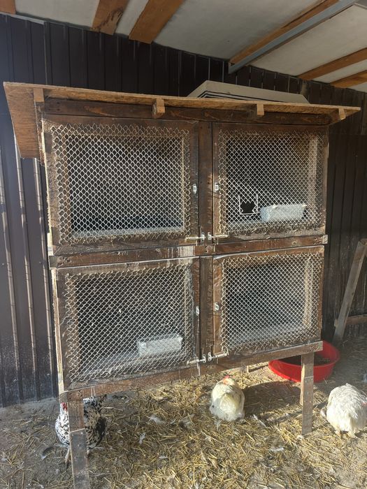 Cotet iepuri pui etc + accesorii