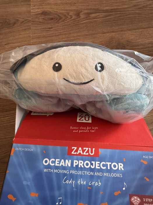 Proiector camera copilului