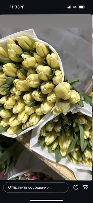 Тюльпаны букетами  по низким ценам