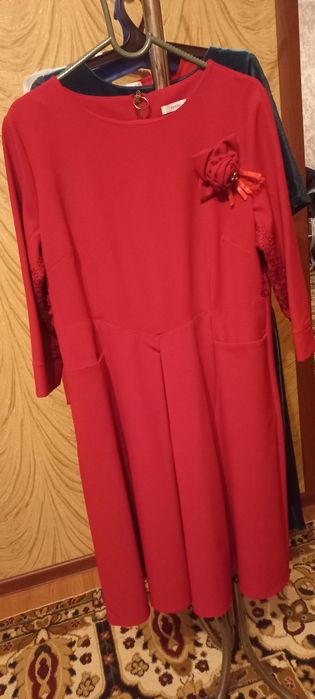 Арзан багада койлектер