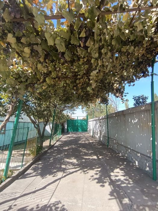 Продам дома на одном участке