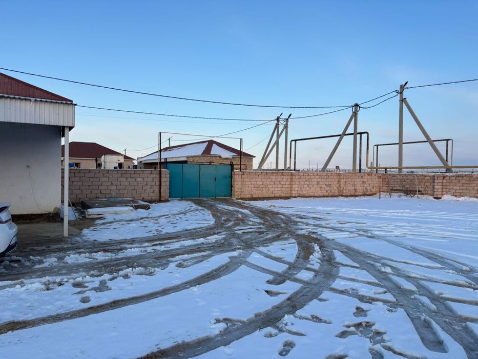 Батыр уй сатылады