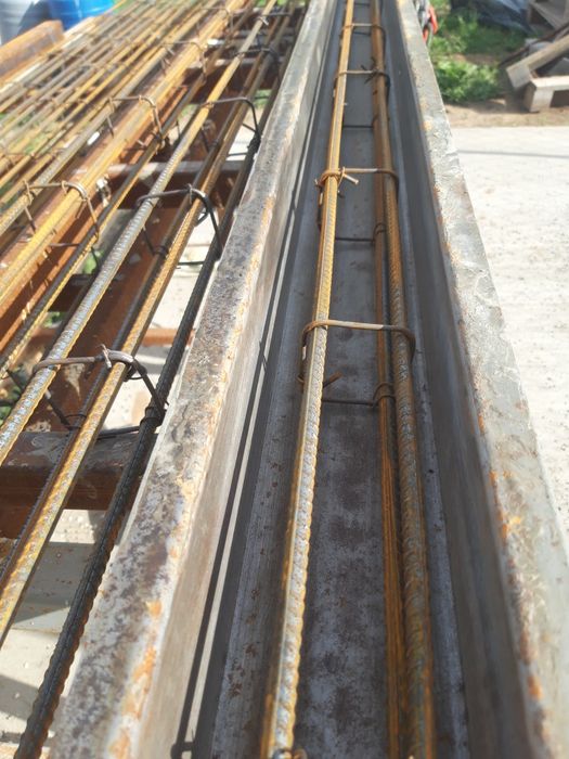 Vand Spalieri, Dale Aleei si Gard Beton-Calitate Premium