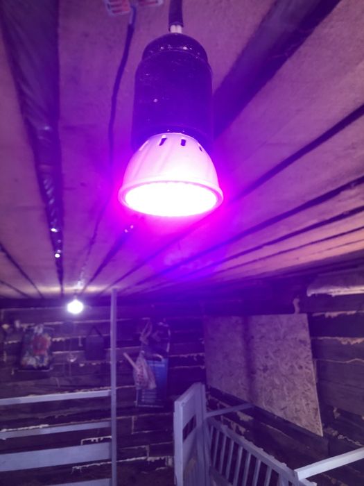 Лампочки для теплицы