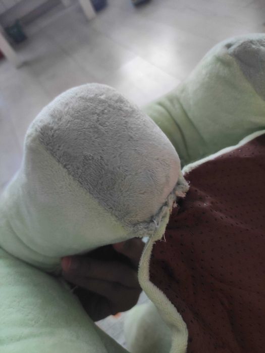 Барбарон за бебе Динозавър