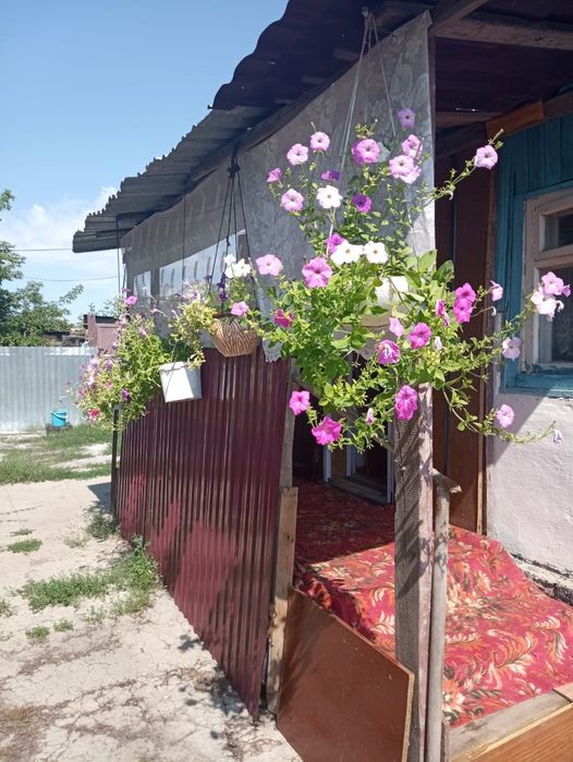 Продам                             .