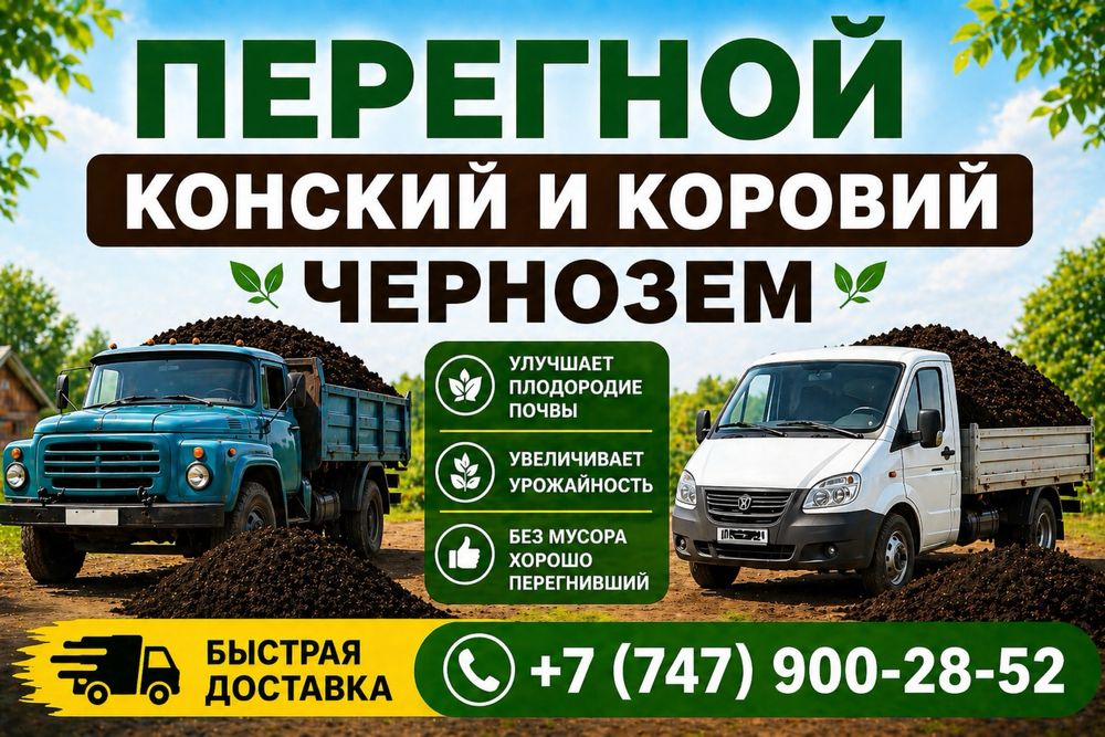 Перегной и чернозем