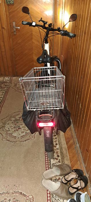 Bicicleta electrica Riese Muller