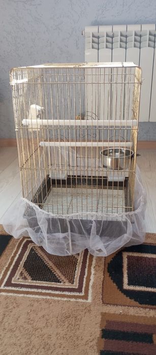 Клетка для попугая и прочее