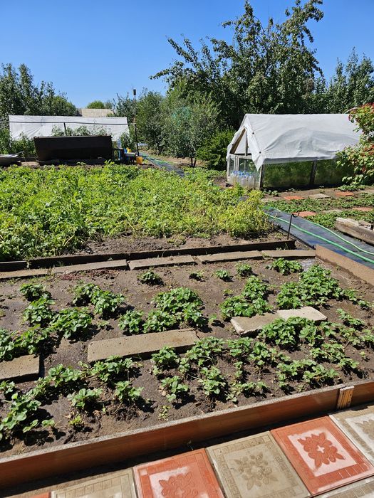 Продам ДАЧУ (Федоровка)