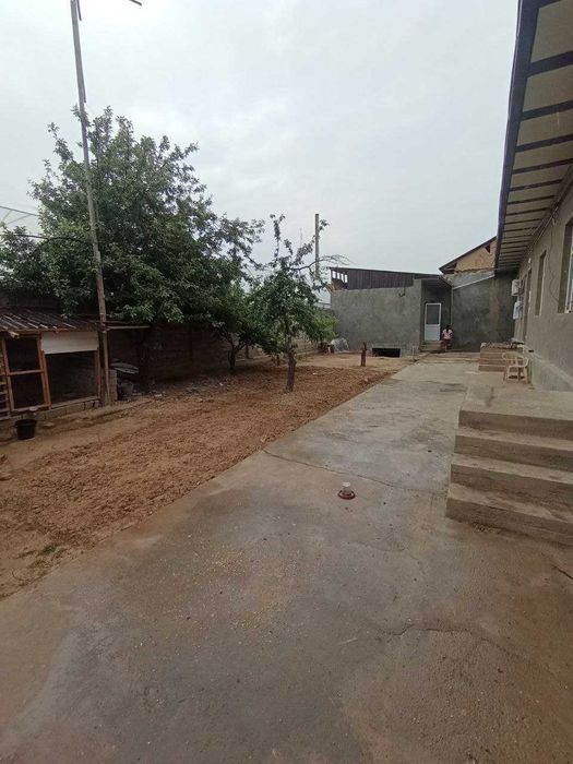 ТОшкент вилояти, Қибрай тумани, Маданиятда ховли сотилади