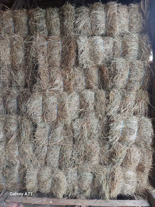 Baloți dreptunghiulari