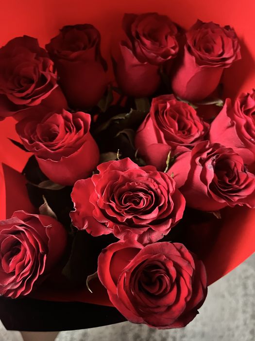 Продам цветы 11 шт