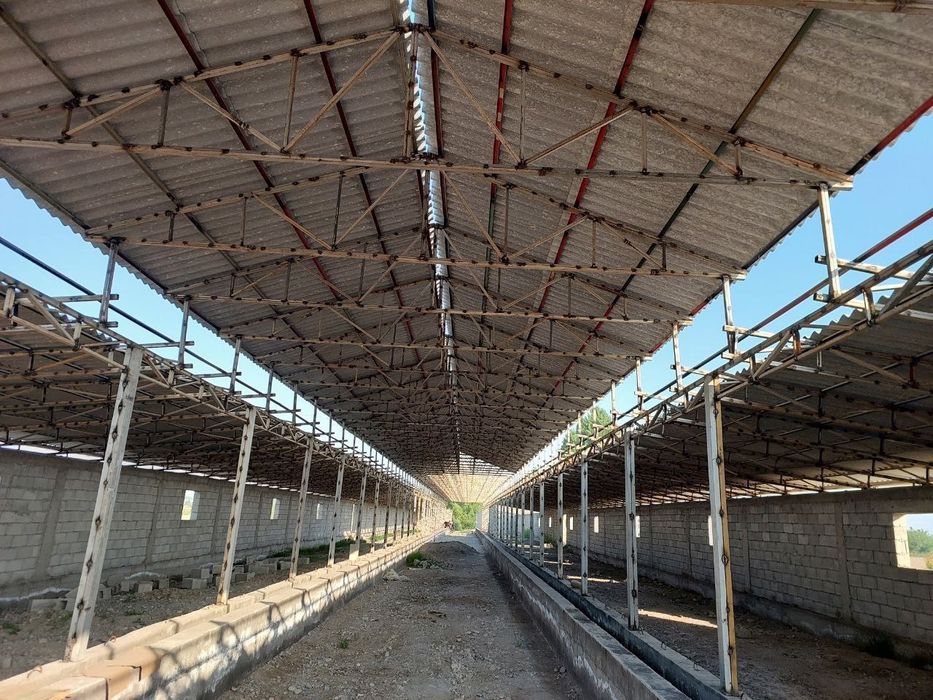 Молхона Товукхона катта ангар Лар фирмасини ясаб берамиз