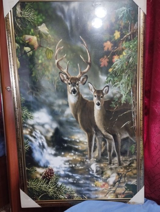 Картины по 12000 торг