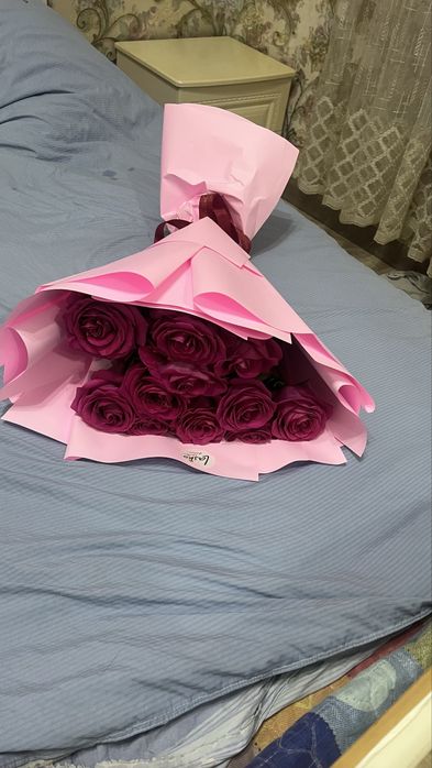 Галатский роза бүгін алынған свежий 7000