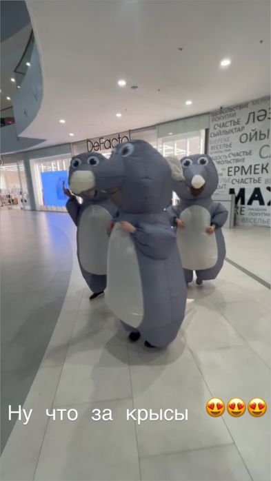 Аренда веселых крыс