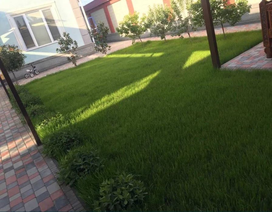 Таййор рулон газон полив установка