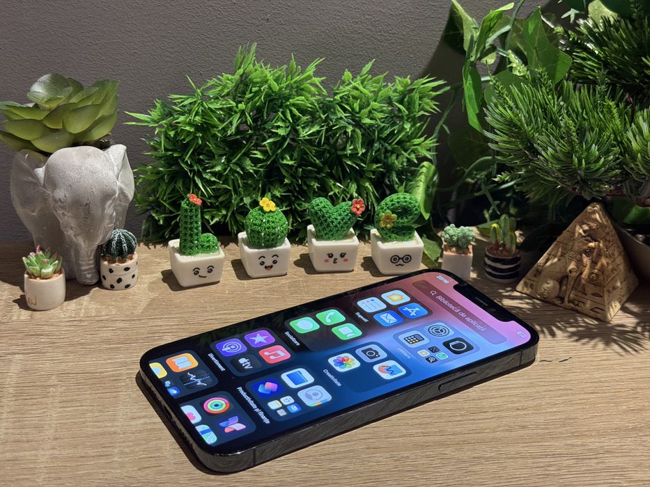 Iphone 12 Pro 256gb‼️100% baterie‼️Garantie‼️