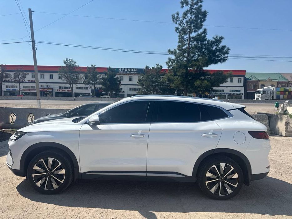 Byd chempion 2024/2025