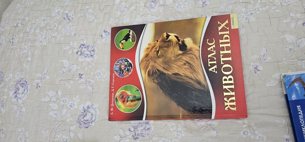 Книги энциклопедии