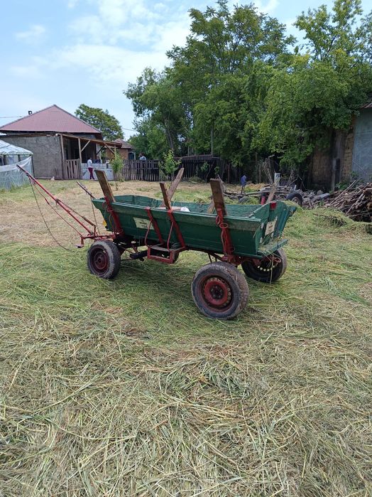 Cal de vânzare și căruță