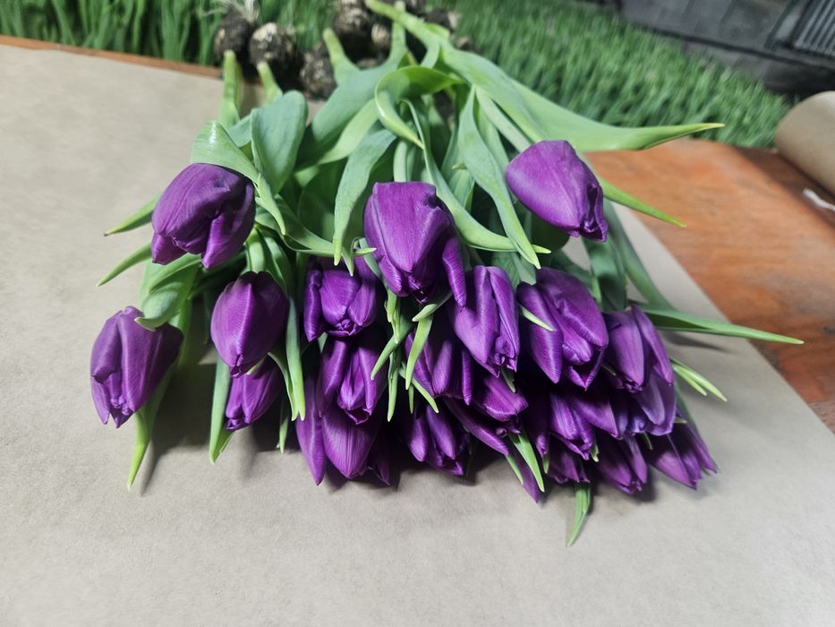 Цветы из собственной теплицы на 14 Февраля