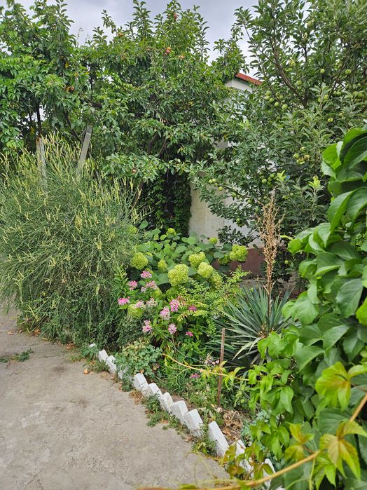 СРОЧНО продаётся дом Правда Гулистан 1 участок