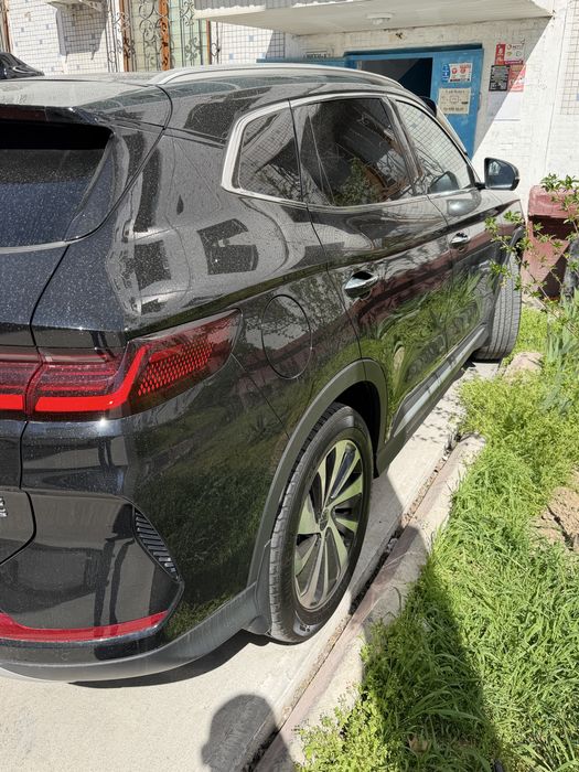 Byd chempion gibrid 150