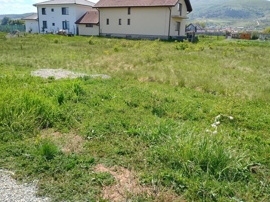 Intravilan de vanzare