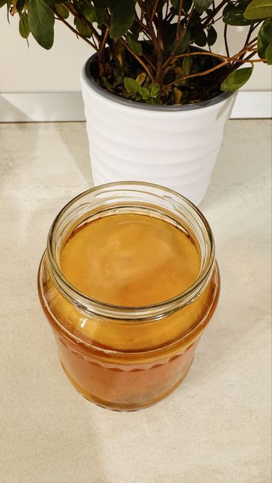 Ciuperca kombucha - scopi si starter