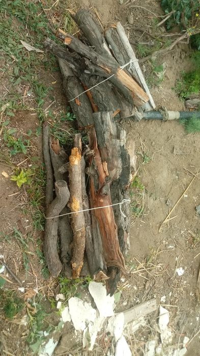 Дрова для шашлыков из плодов деревьев.