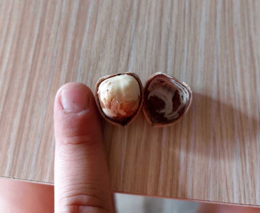 Продава се Земеделски имот в с. Драчево, Област Бургас -  кв.м за 2408 €/дка - Снимка #14