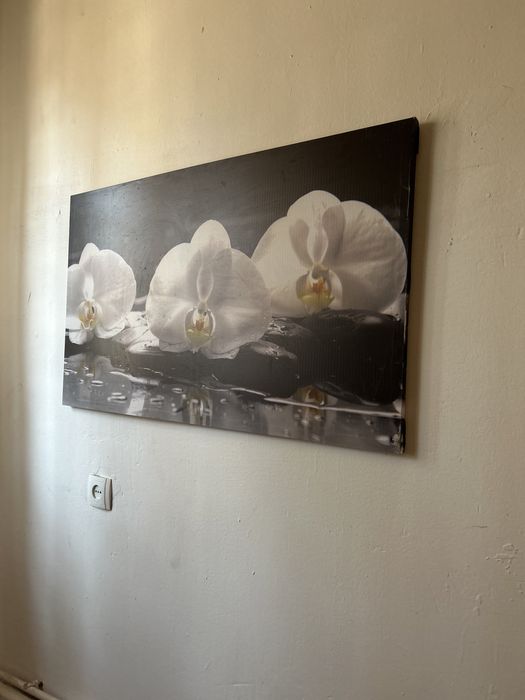 Продается картинки