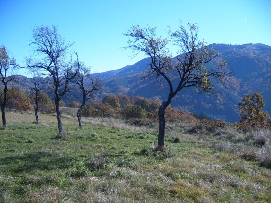 Поземлен имот - с. Орешак, панорамна гледка