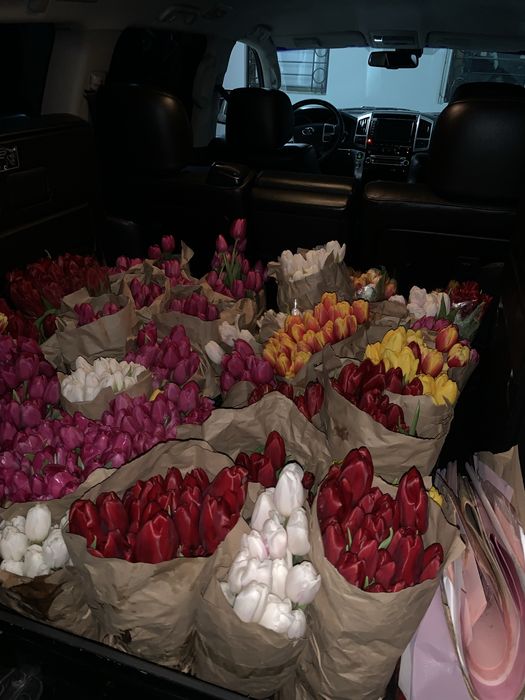 Тюльпаны голландские
