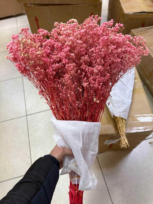 Сух гипсофил - 400 грама