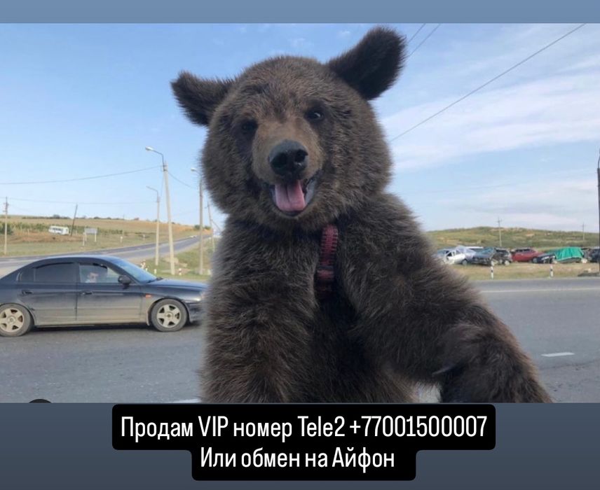 Здравствуйте продам номер Теле 2