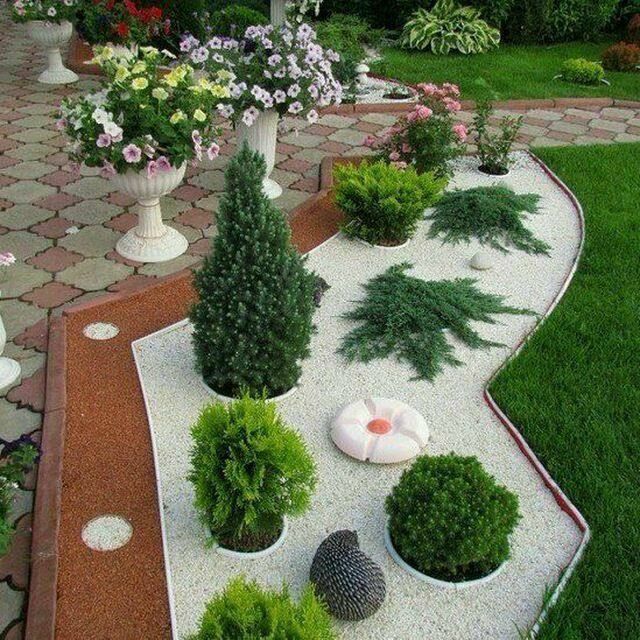 Газон . Ландшафт.Дизайн. Декаративный дарахтлар Арчалар ва газон уход