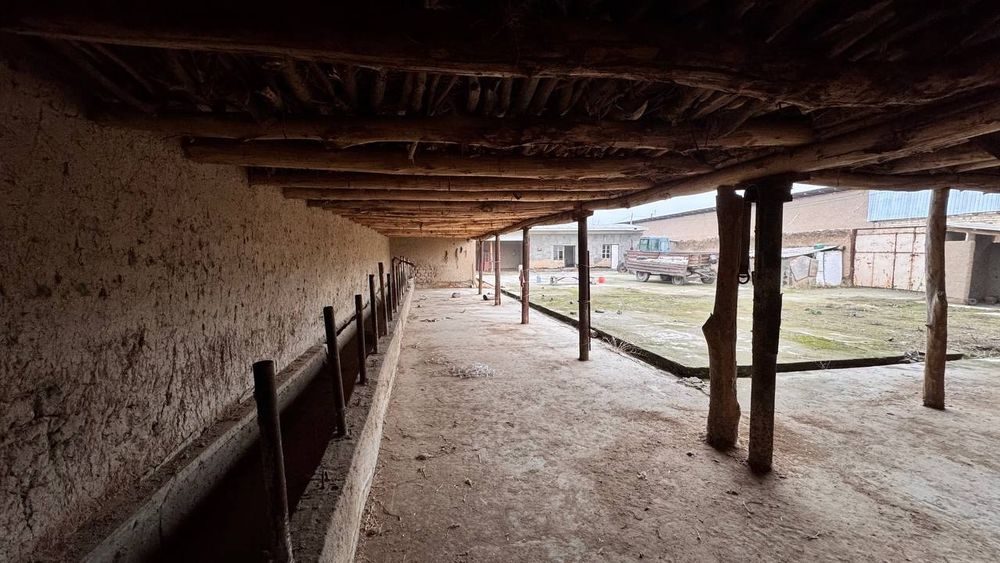 Ferma Sotiladi Srochno