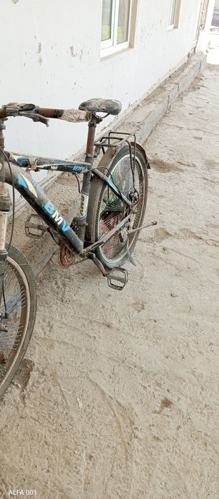 Velosioed. Forword, tuzatib haydadh uchun zoʻr tanlov.