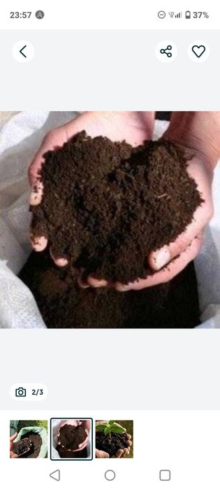 Biogomus oʻgʻitlari sotiladi