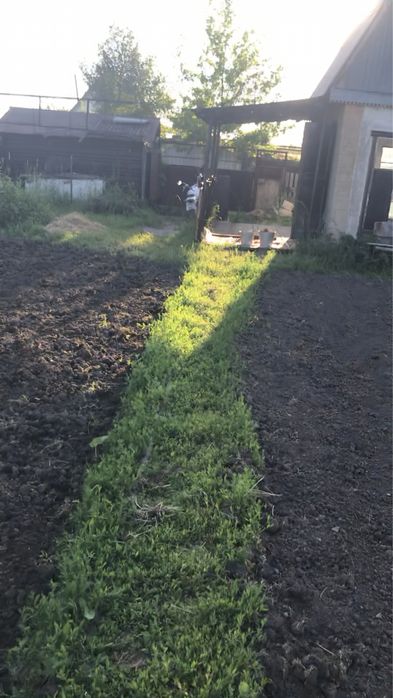 Дача в обществе «Черемушки»