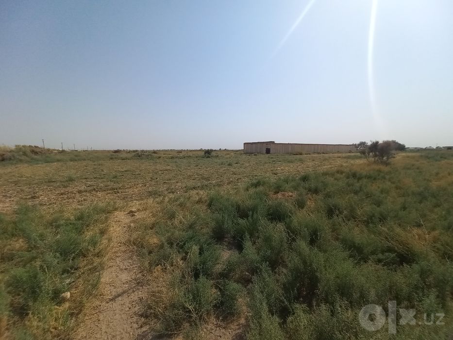 Бино сотилади 48 гектар ерни хам бор