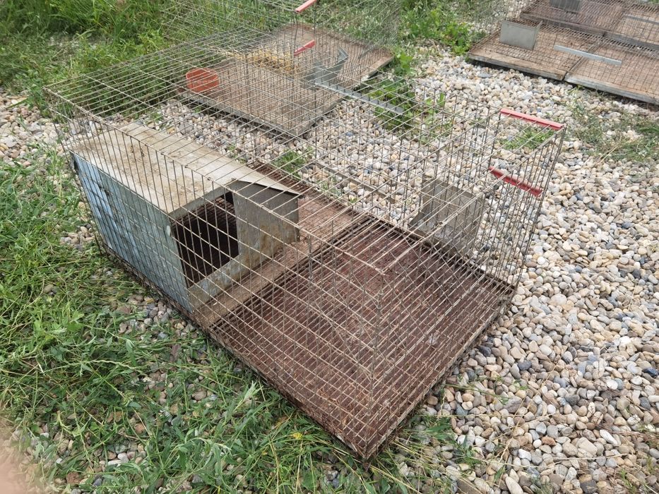 Cușcă iepuri, 4 buc 100x60x50