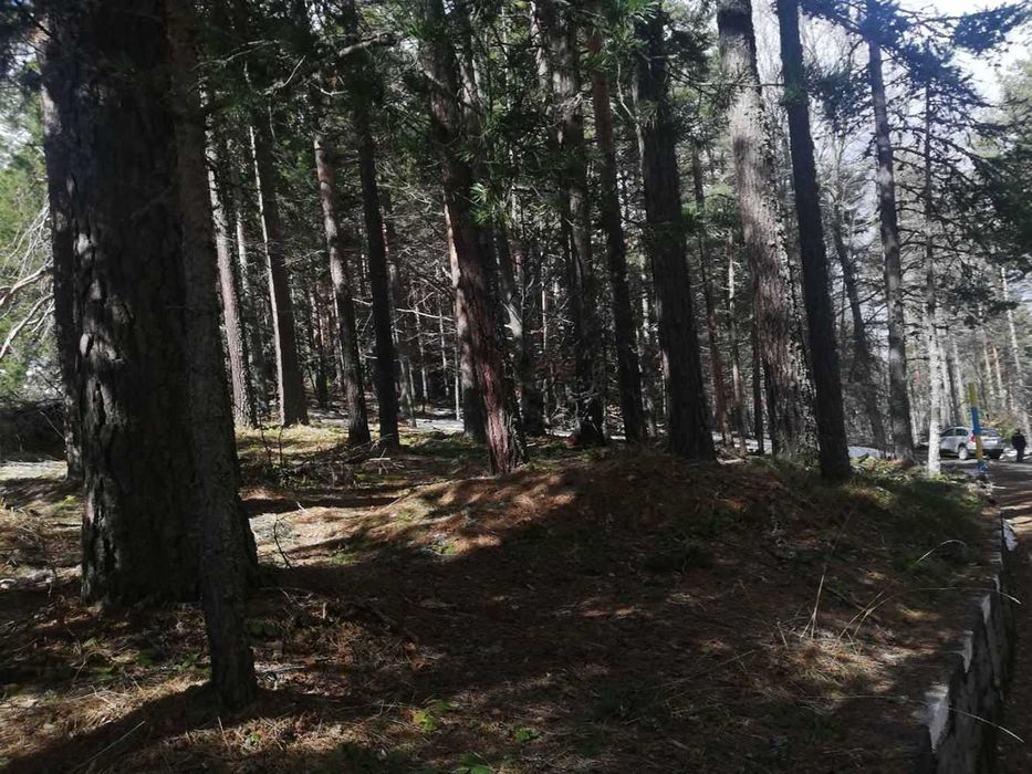 Парцел хижа Здравец до хижа Металик 100метра лице