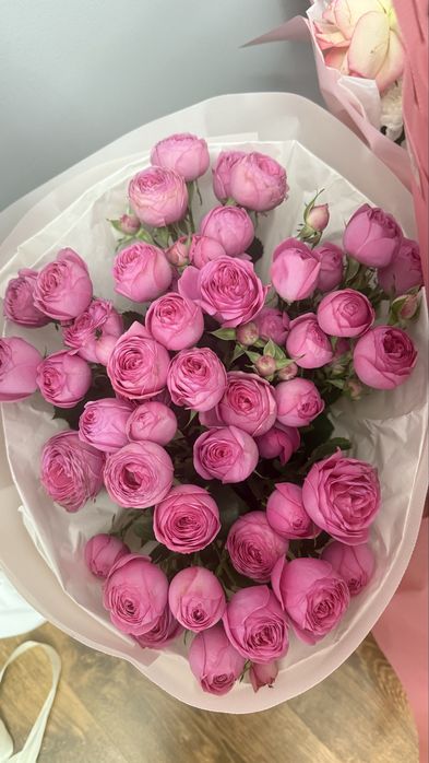 Romantic. Кустовая роза, привезли сегодня.