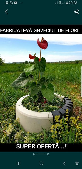 OFERTA DE IARNA 4+4 GRATIS matrite oavaj forme pavele constructi dale