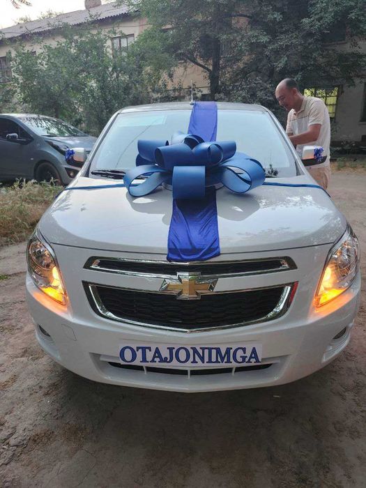 harhil bant arenda бор , кизил бантик