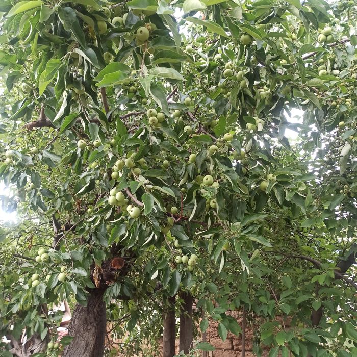 Продам частный дом